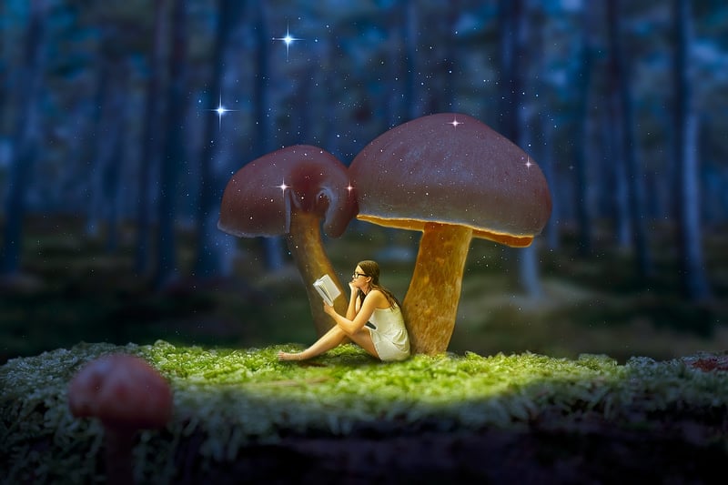Enchanted Musical Acts